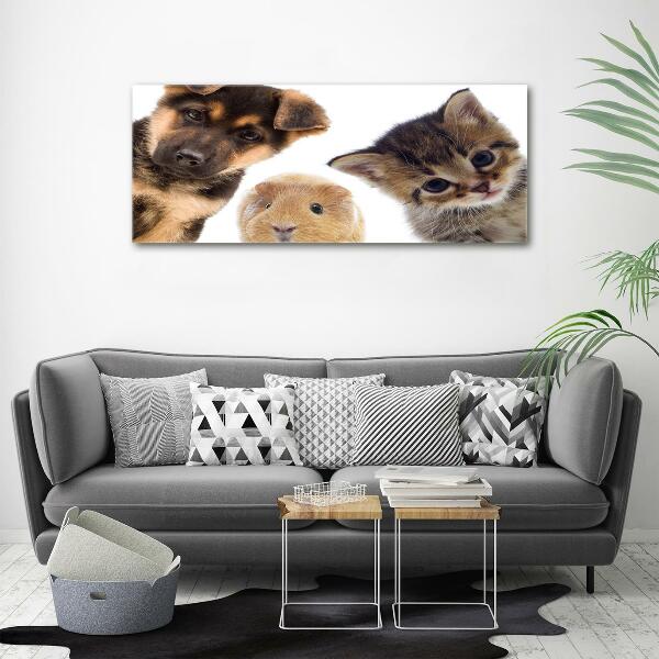 Glass wall art large Pets