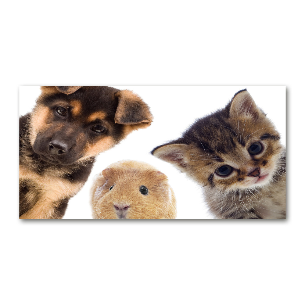 Glass wall art large Pets