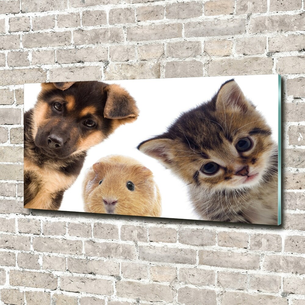 Glass wall art large Pets