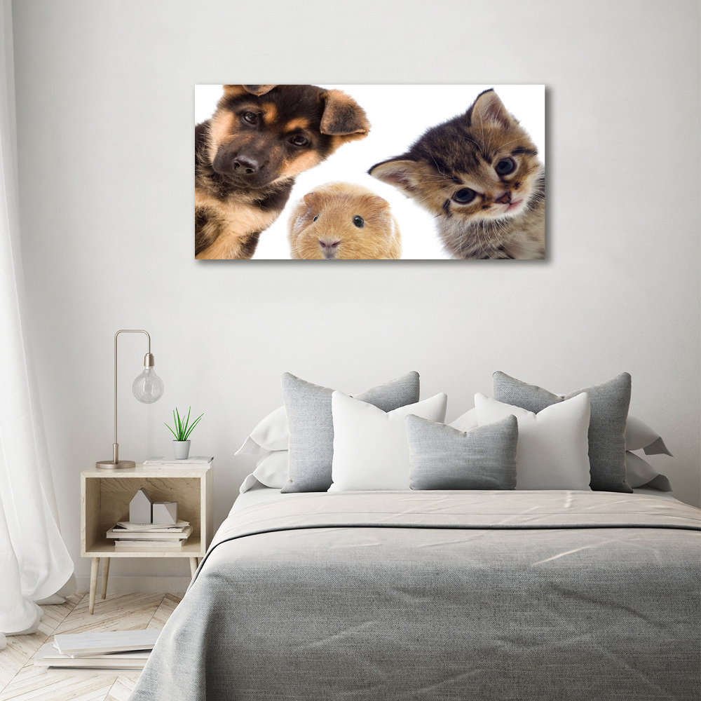 Glass wall art large Pets