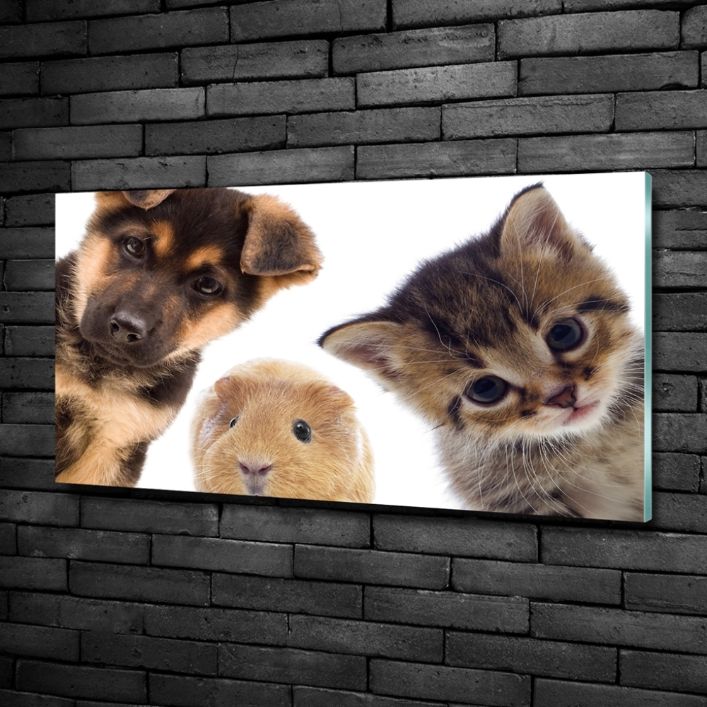 Glass wall art large Pets