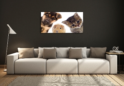 Glass wall art large Pets