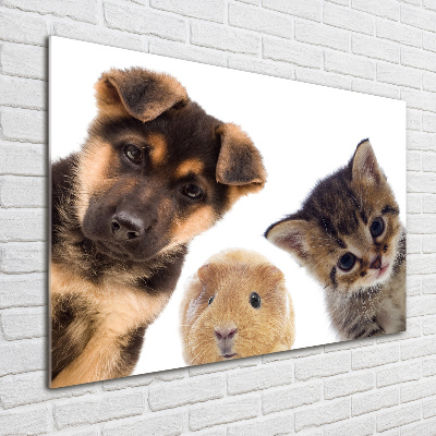 Glass wall art large Pets