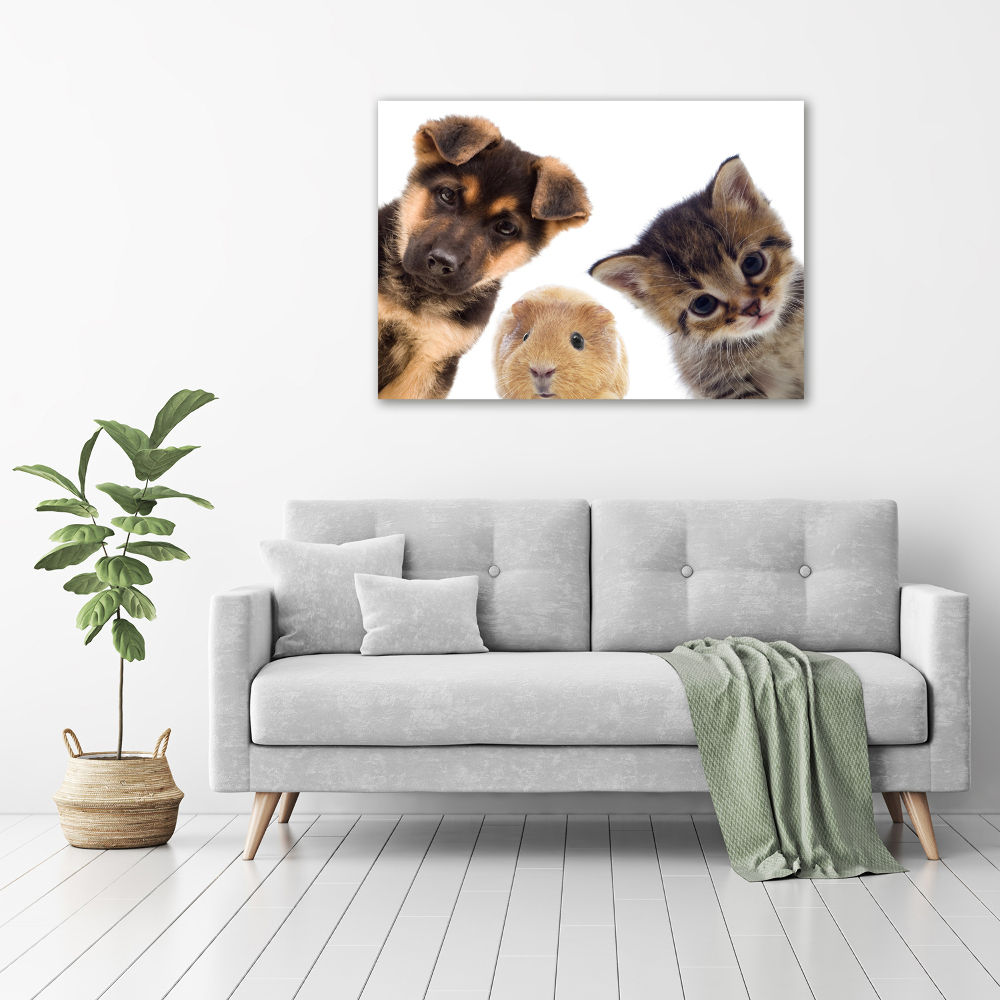 Glass wall art large Pets