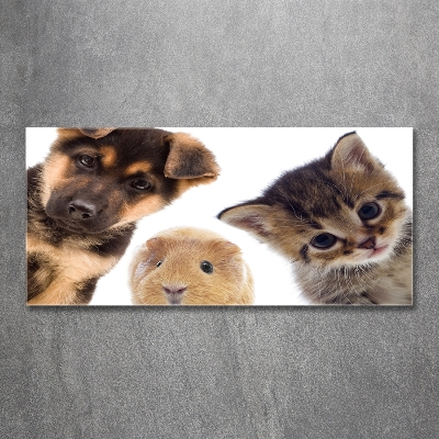 Glass wall art large Pets