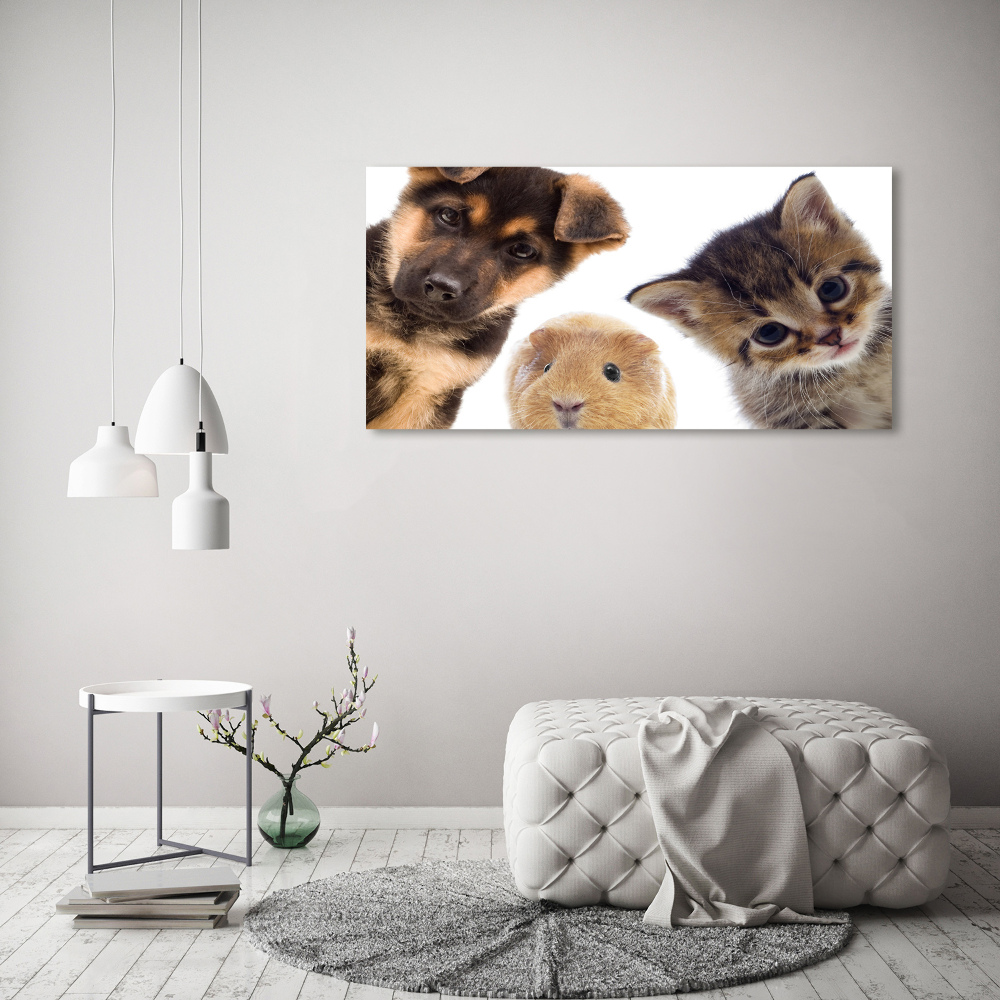 Glass wall art large Pets