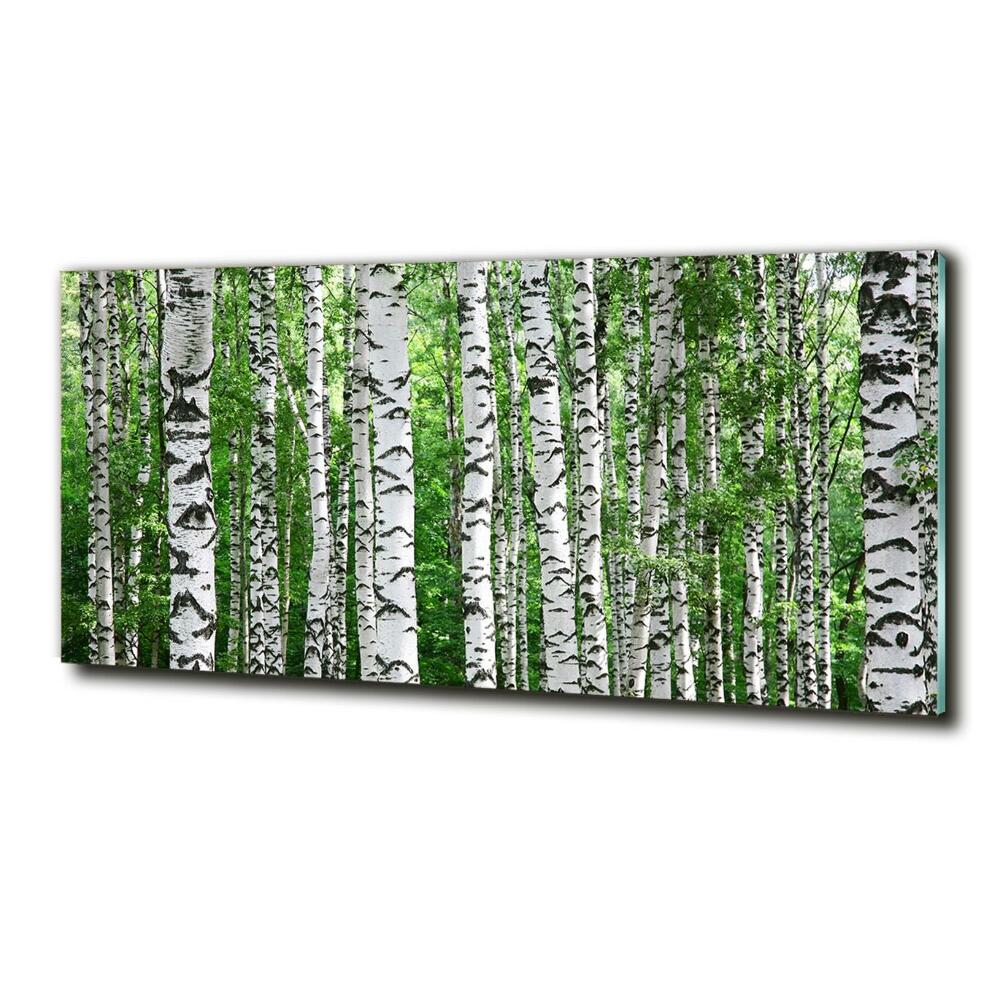 Wall art on glass Birch