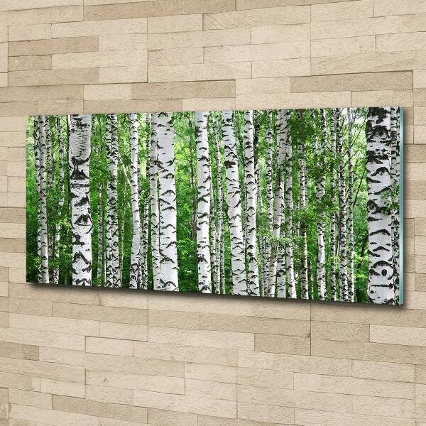 Wall art on glass Birch