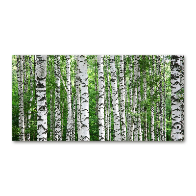 Wall art on glass Birch