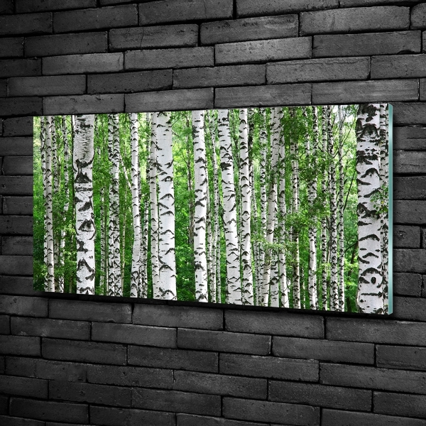 Wall art on glass Birch