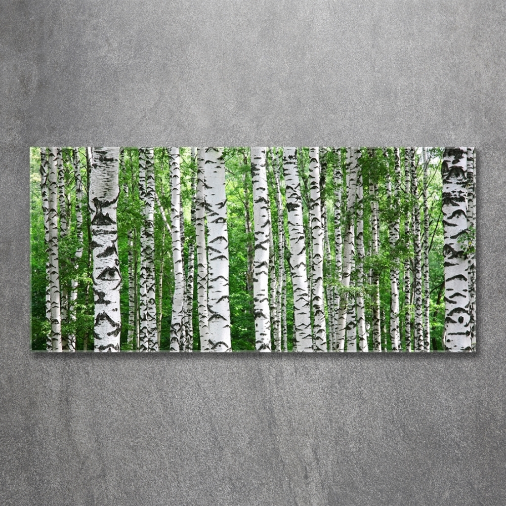 Wall art on glass Birch