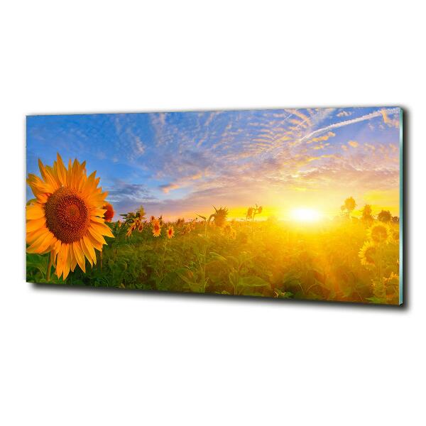 Glass art print Sunflower field