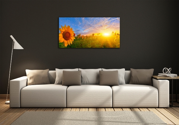 Glass art print Sunflower field