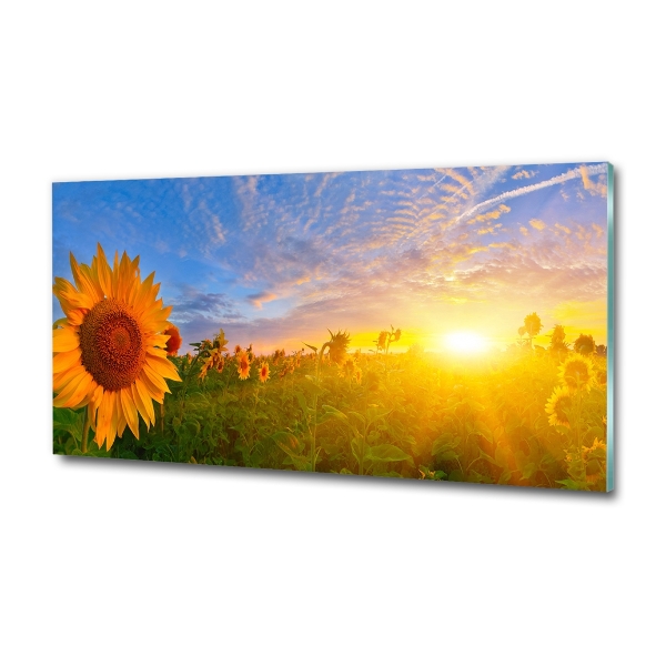 Glass art print Sunflower field