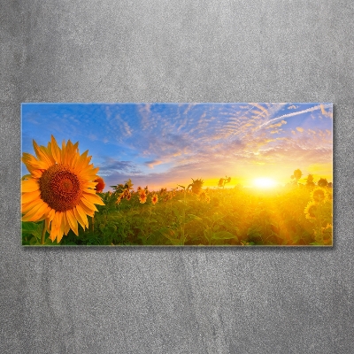 Glass art print Sunflower field