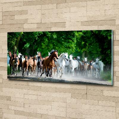 Glass wall art large Horses at gallop