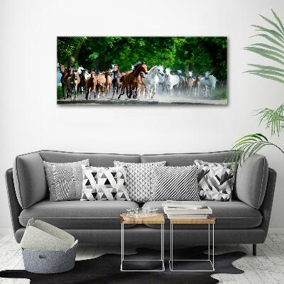 Glass wall art large Horses at gallop