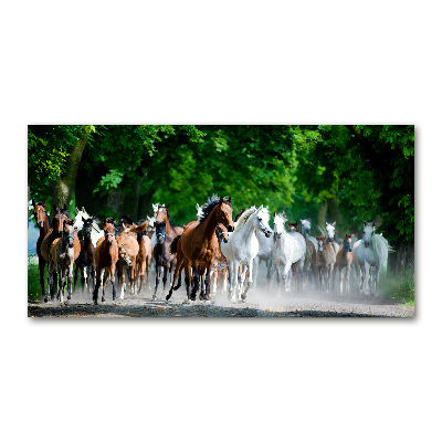 Glass wall art large Horses at gallop