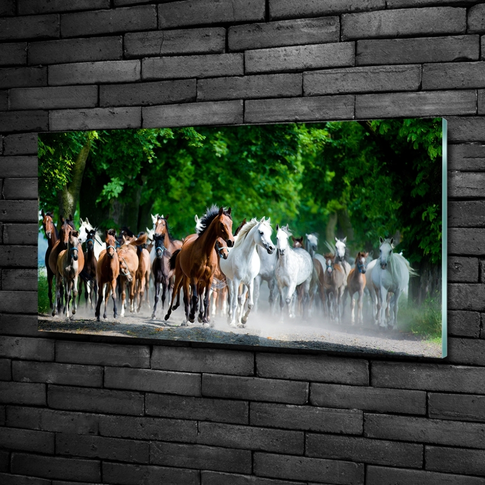 Glass wall art large Horses at gallop