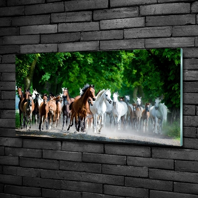 Glass wall art large Horses at gallop