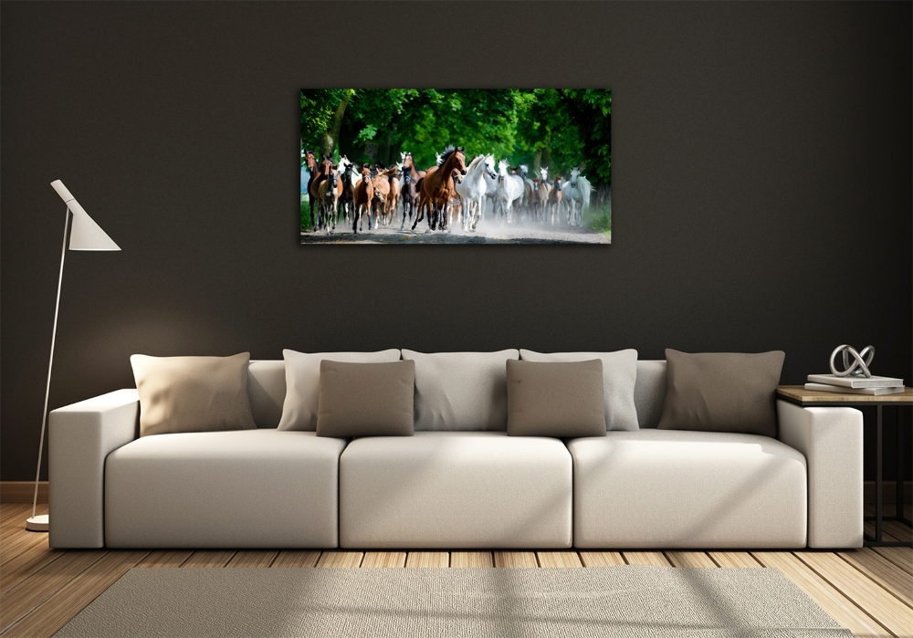 Glass wall art large Horses at gallop