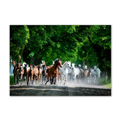 Glass wall art large Horses at gallop