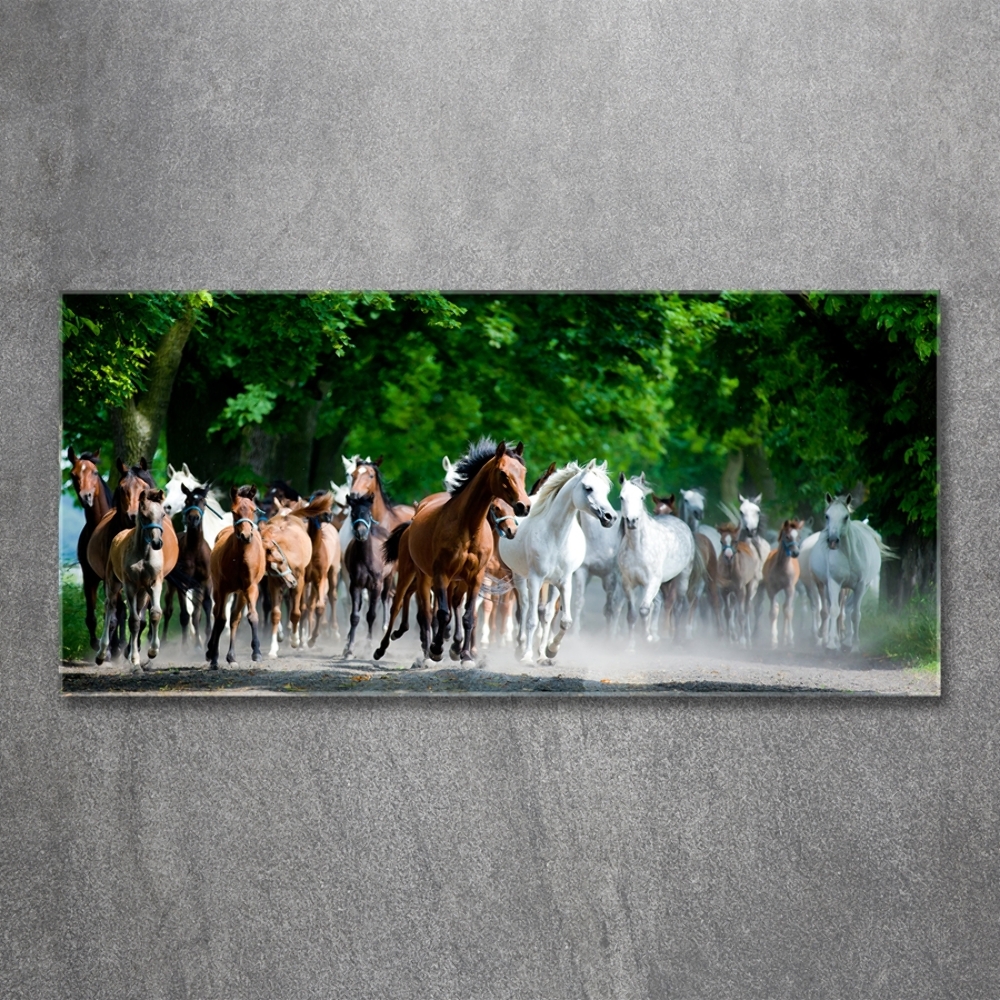 Glass wall art large Horses at gallop