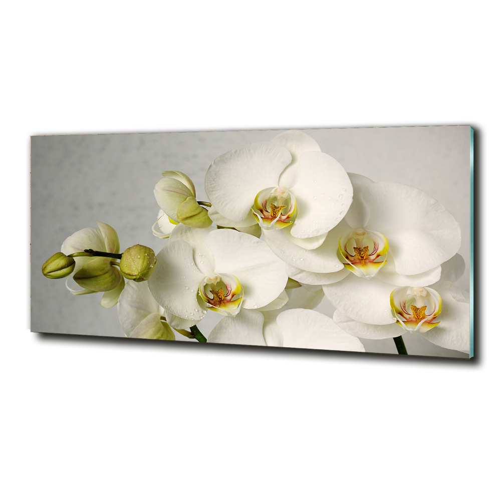 Wall art on glass White orchid