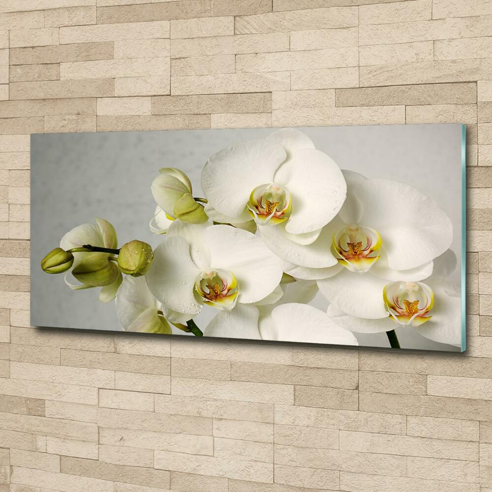 Wall art on glass White orchid