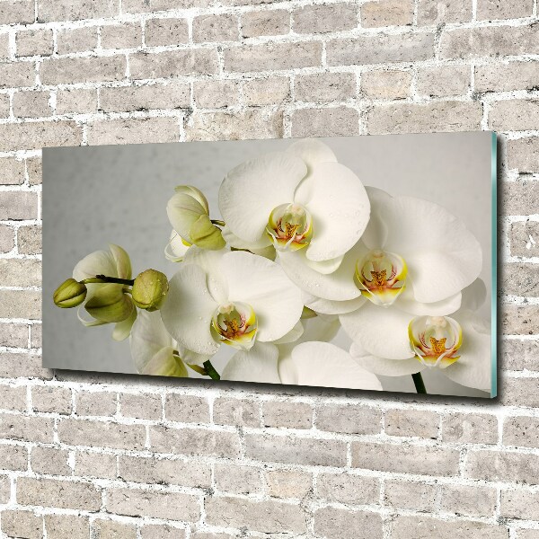 Wall art on glass White orchid