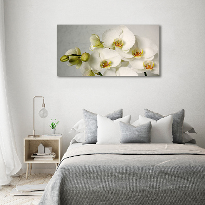 Wall art on glass White orchid