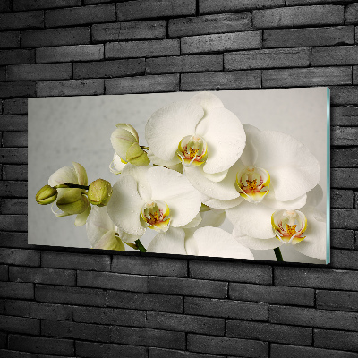 Wall art on glass White orchid