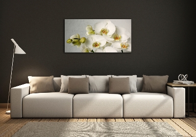 Wall art on glass White orchid