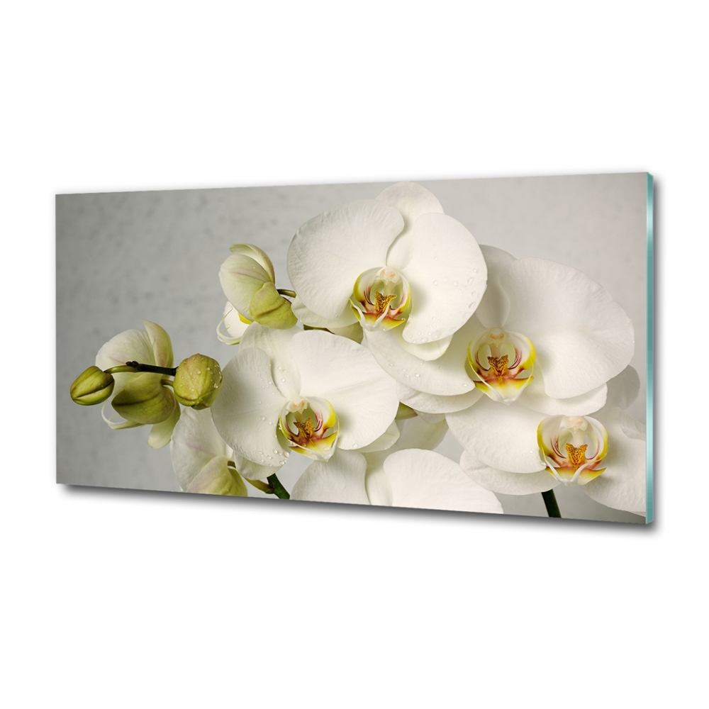 Wall art on glass White orchid