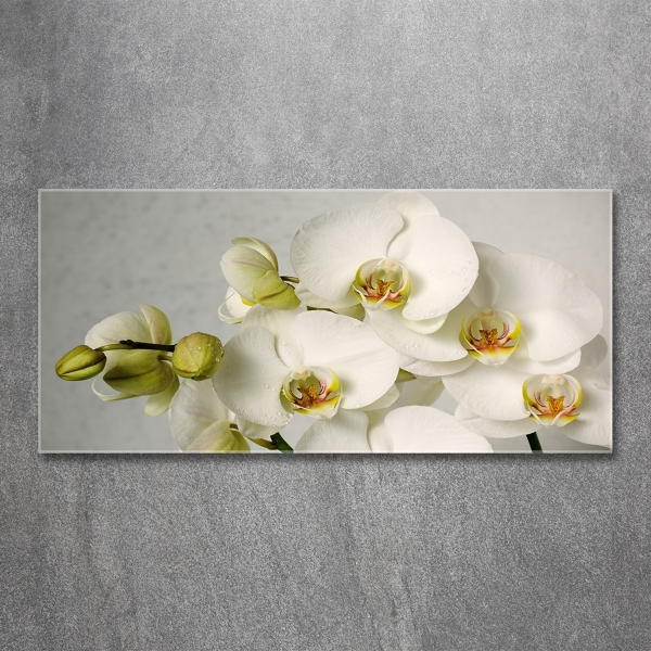 Wall art on glass White orchid