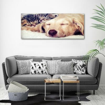 Glass wall art large Puppy and cats