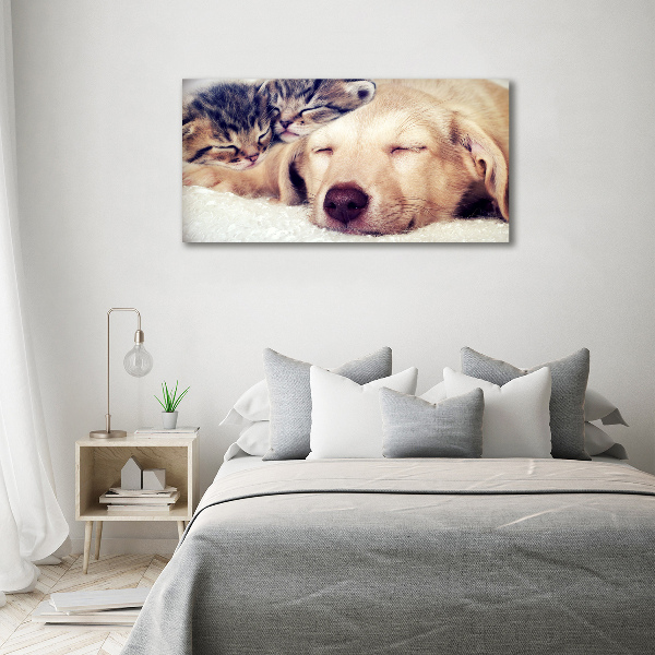 Glass wall art large Puppy and cats