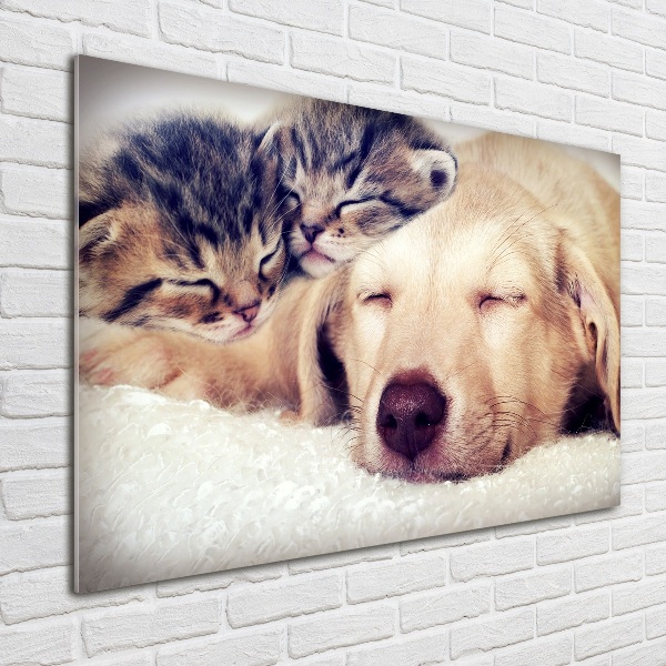 Glass wall art large Puppy and cats