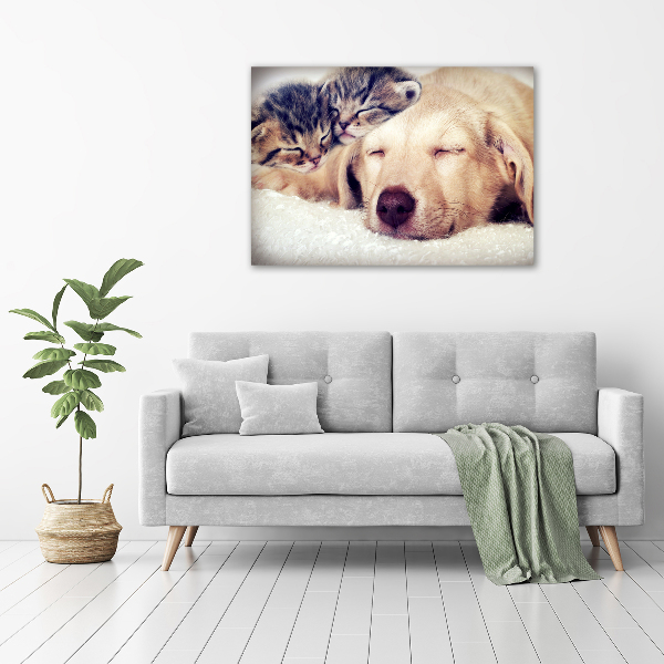 Glass wall art large Puppy and cats