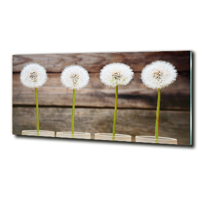 Wall art on glass Dandelions