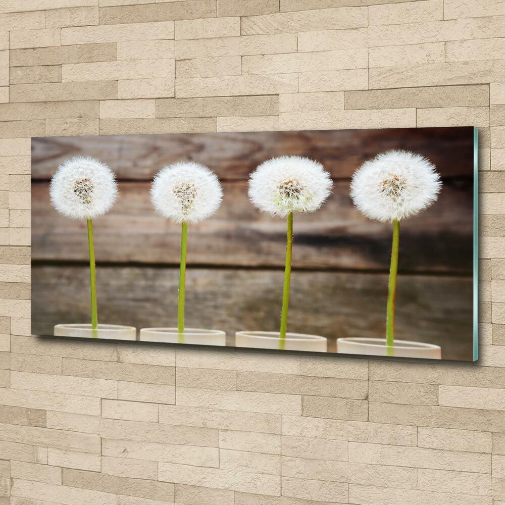 Wall art on glass Dandelions