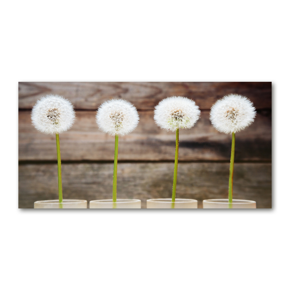 Wall art on glass Dandelions