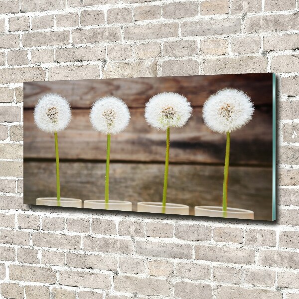 Wall art on glass Dandelions