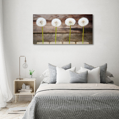 Wall art on glass Dandelions