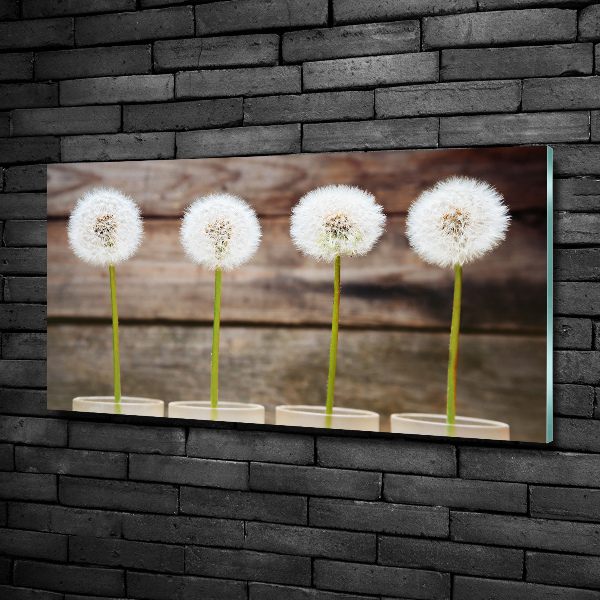 Wall art on glass Dandelions