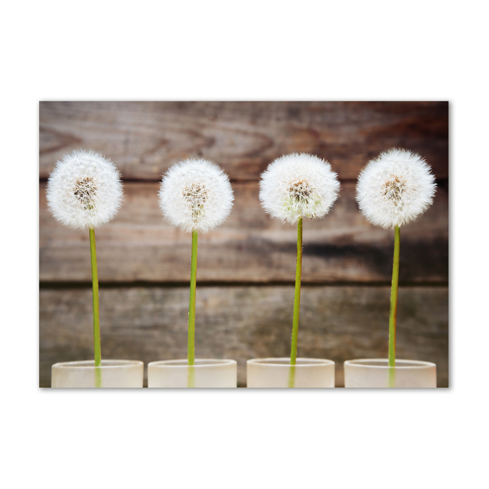 Wall art on glass Dandelions