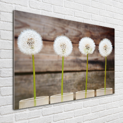 Wall art on glass Dandelions