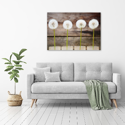 Wall art on glass Dandelions