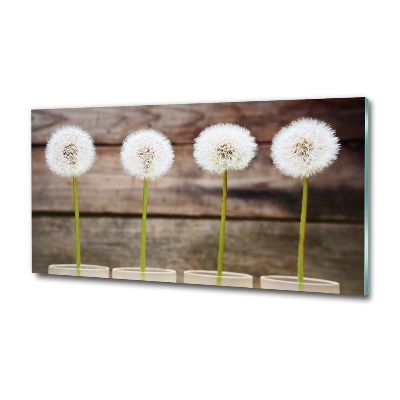 Wall art on glass Dandelions