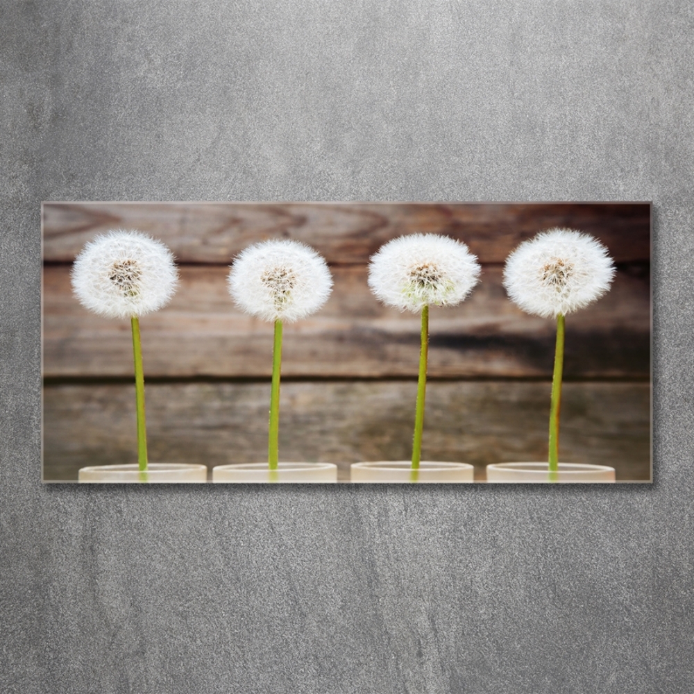 Wall art on glass Dandelions